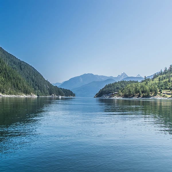What Is Ethical Whale Watching? 4 Seymour Narrows